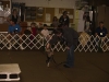dtcdcpuppyclasssession01006