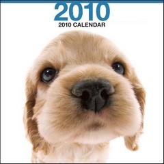 2010cal