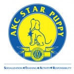 AKC STAR Puppy Program